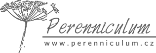 Logo Perenniculum